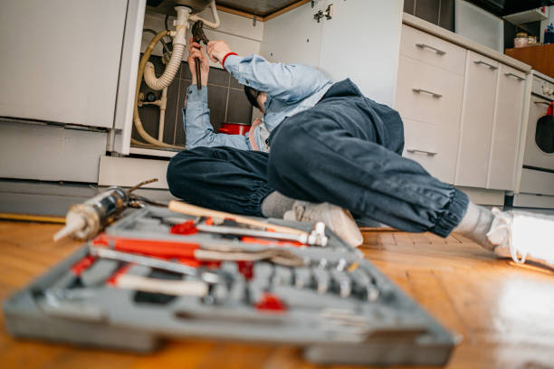 Best Clogged Drain Plumber  in Palmyra, IN