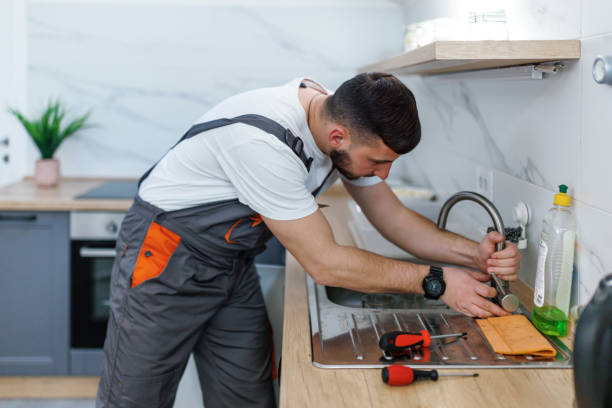 Best Plumbing Services Near Me  in Palmyra, IN