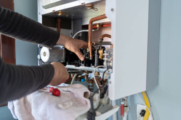 Best Plumbing Inspection Services  in Palmyra, IN