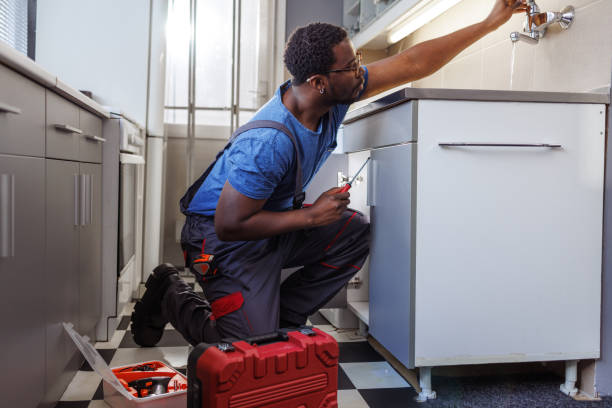 Best Clogged Drain Plumber  in Palmyra, IN