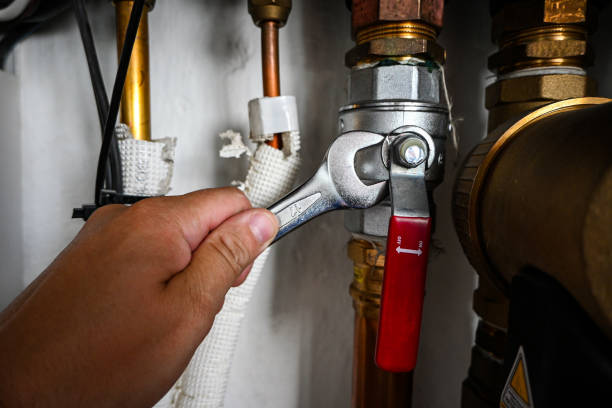 Best Affordable Plumber Near Me  in Palmyra, IN